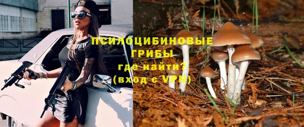 стафф Алзамай