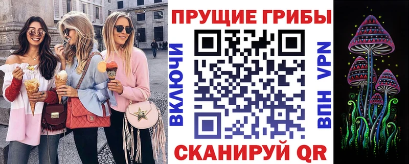 закладка  Жуковка  Галлюциногенные грибы ЛСД 